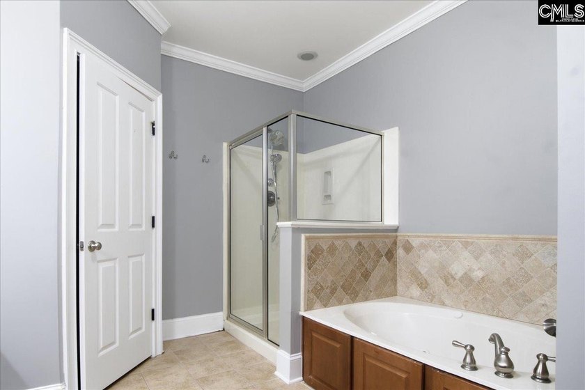 Move-In Ready in Chapin's Desirable Lakeport Community! Welcome - photo 14