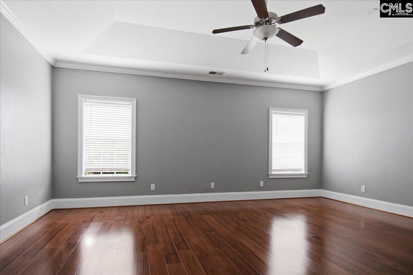 Move-In Ready in Chapin's Desirable Lakeport Community! Welcome - photo 16