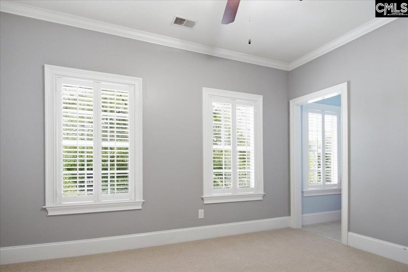 Move-In Ready in Chapin's Desirable Lakeport Community! Welcome - photo 19