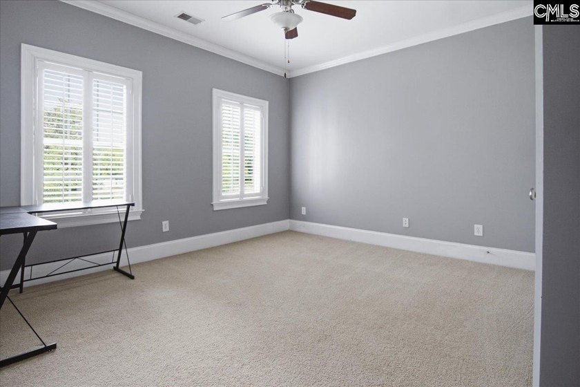 Move-In Ready in Chapin's Desirable Lakeport Community! Welcome - photo 22