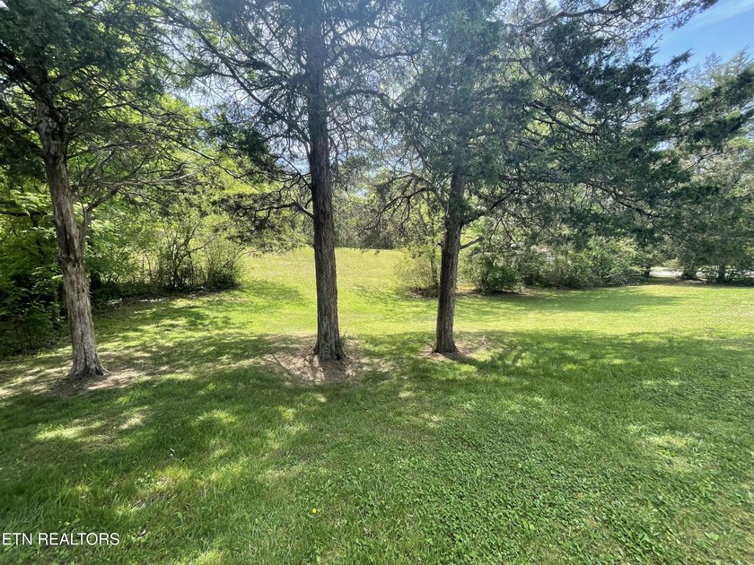 Welcome to this stunning one level 1468sf home, with a country - photo 31