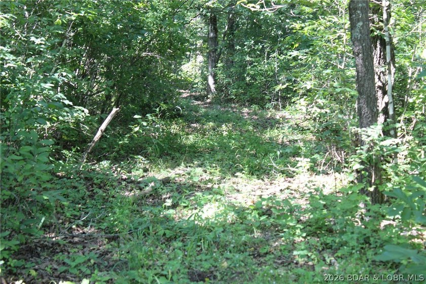 Enjoy the privacy of 31.78 mostly fenced acres just off P Road - photo 40