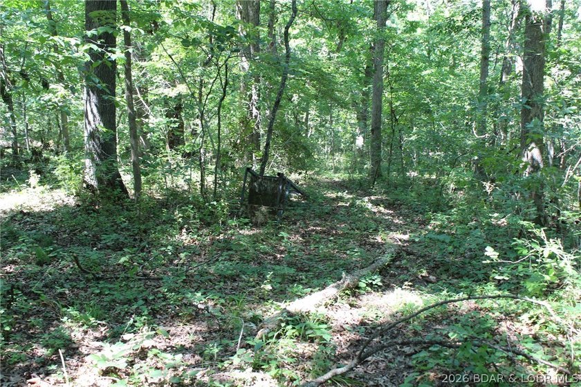 Enjoy the privacy of 31.78 mostly fenced acres just off P Road - photo 42