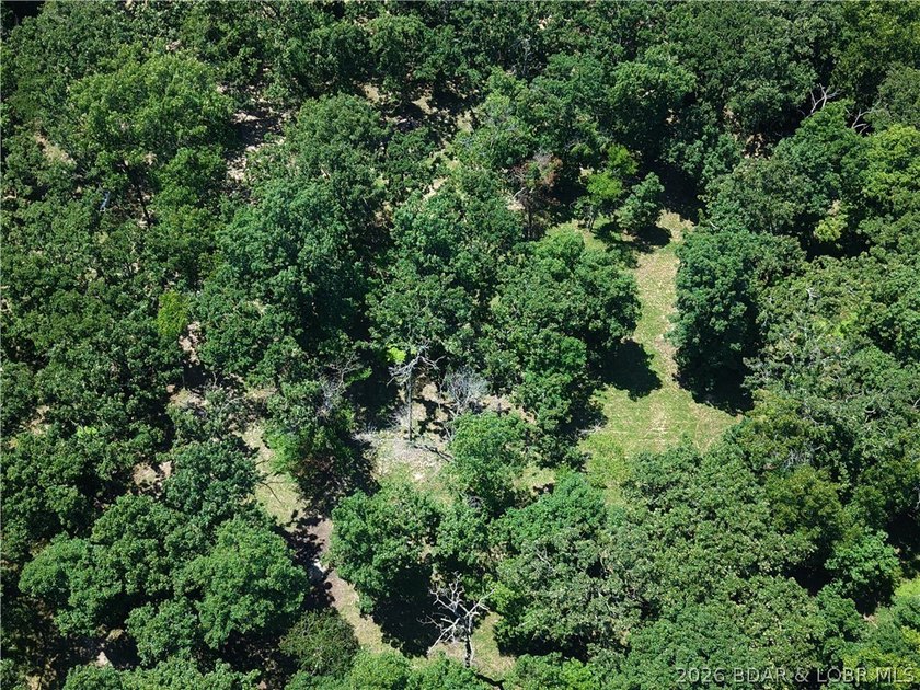 Enjoy the privacy of 31.78 mostly fenced acres just off P Road - photo 47
