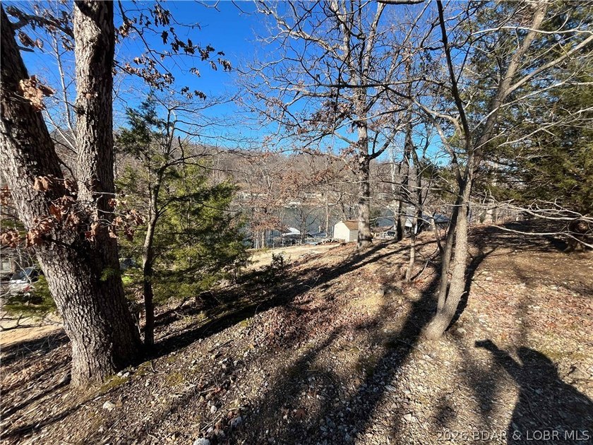 Create your own Lake of the Ozarks retreat on this peaceful - photo 14