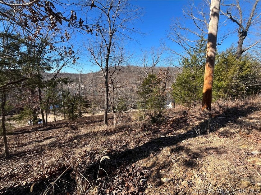 Create your own Lake of the Ozarks retreat on this peaceful - photo 16