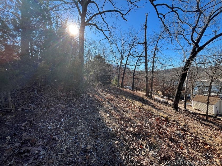 Create your own Lake of the Ozarks retreat on this peaceful - photo 17