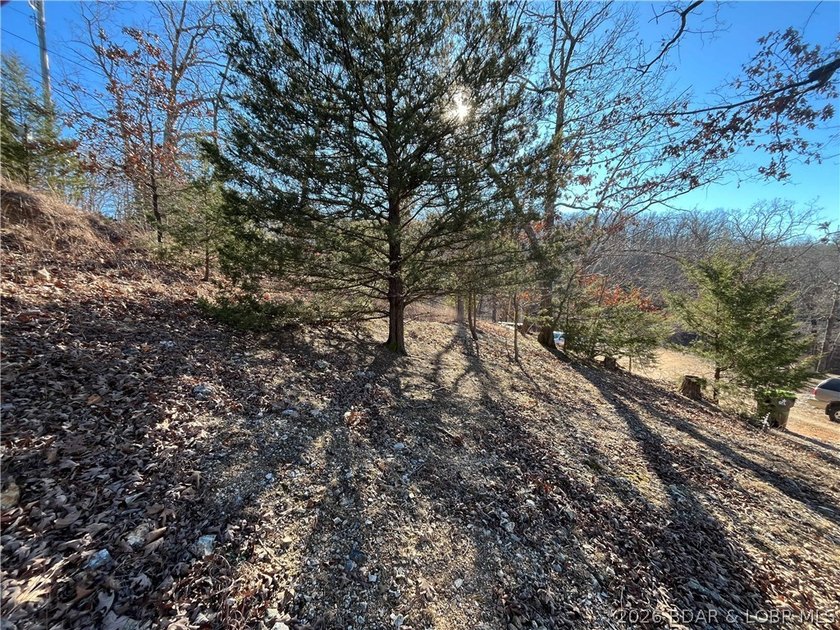 Create your own Lake of the Ozarks retreat on this peaceful - photo 18