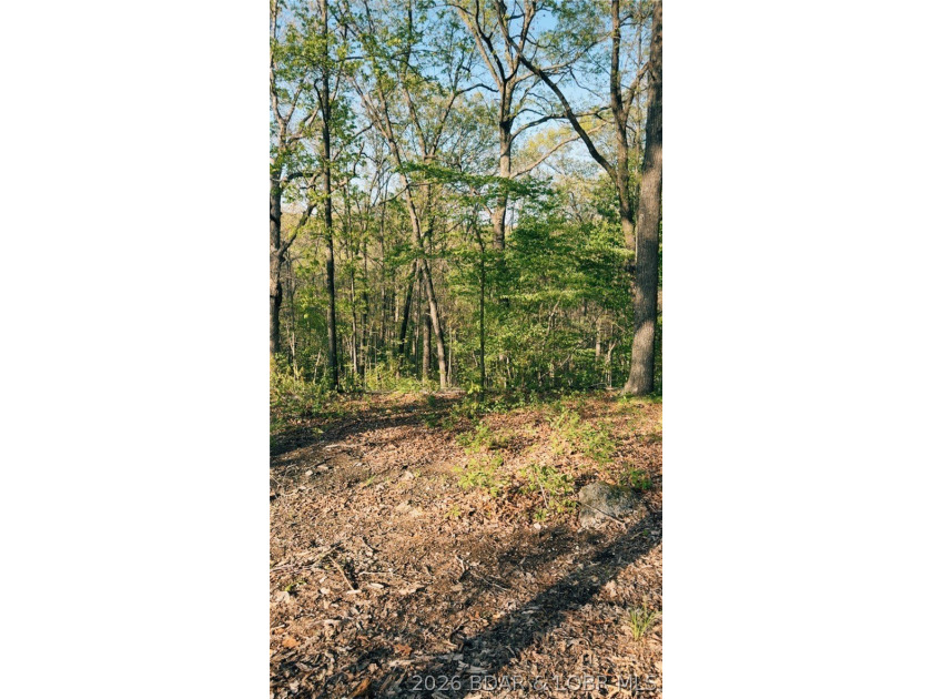 Escape to your own private slice of the Missouri countryside! - photo 4