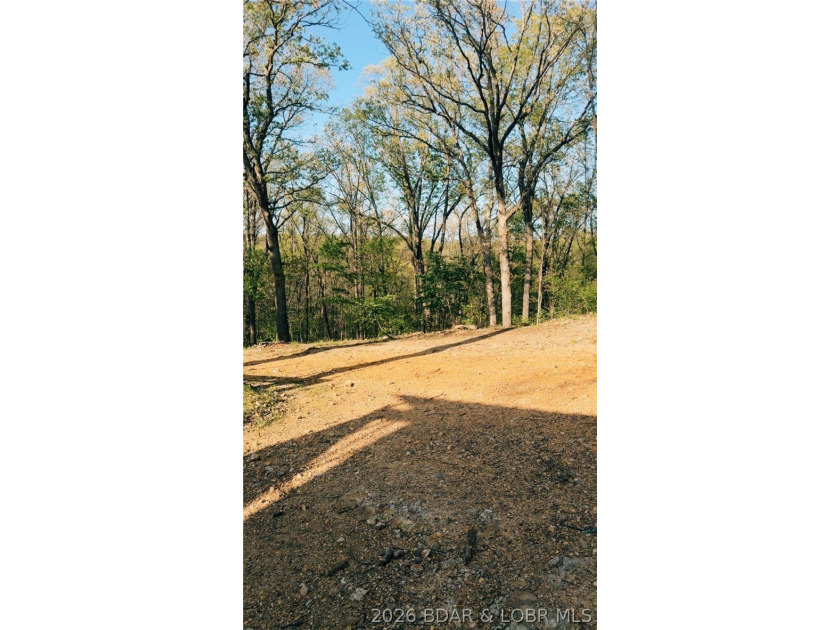 Escape to your own private slice of the Missouri countryside! - photo 8