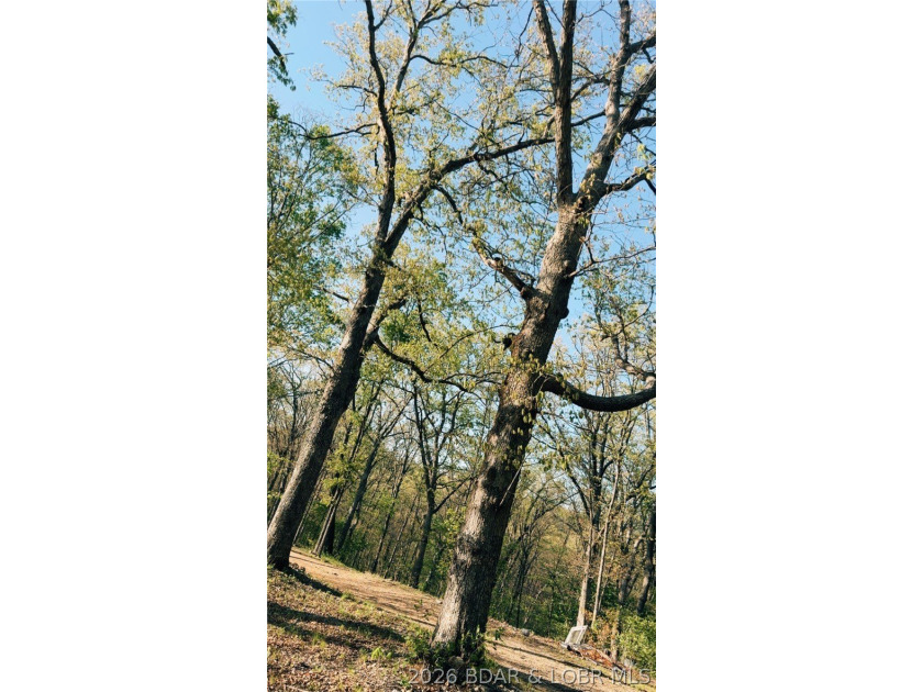 Escape to your own private slice of the Missouri countryside! - photo 9