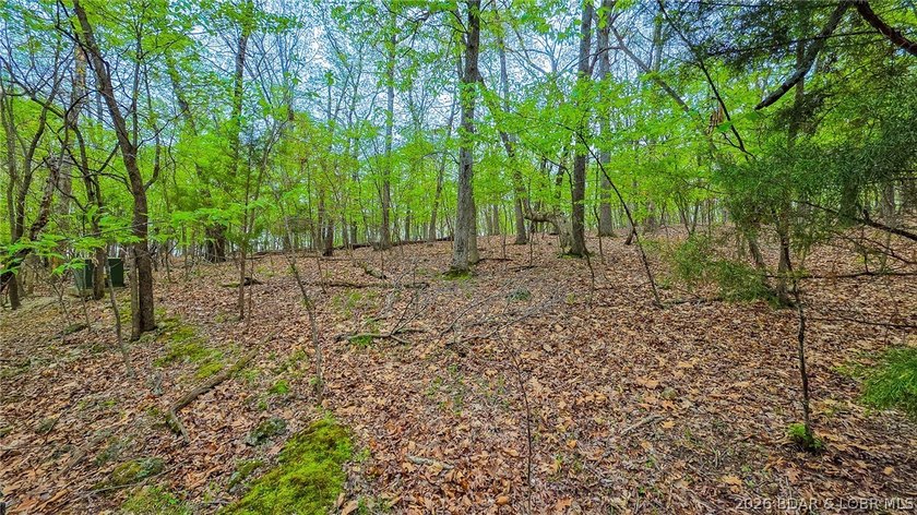 Discover the perfect setting for your custom home in the highly - photo 2