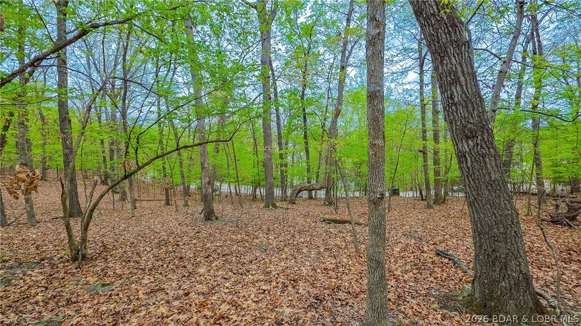 Discover the perfect setting for your custom home in the highly - photo 3