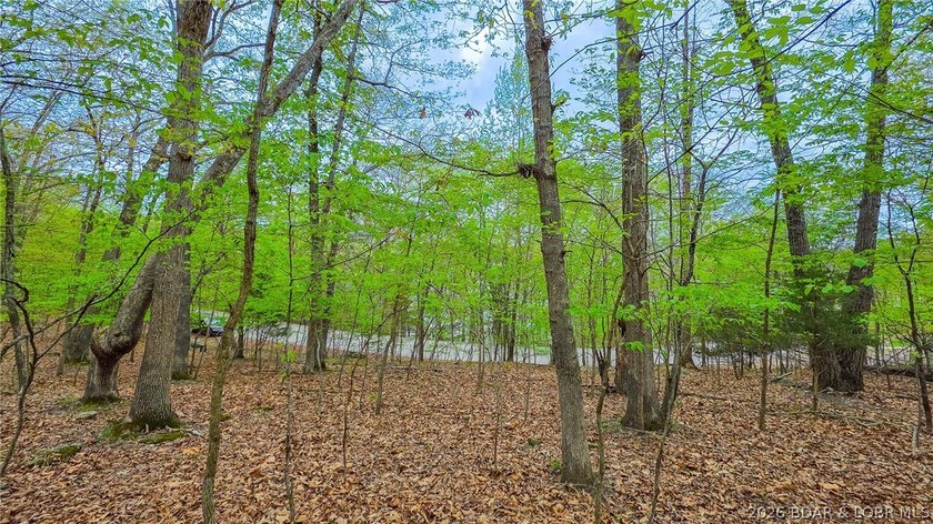 Discover the perfect setting for your custom home in the highly - photo 5