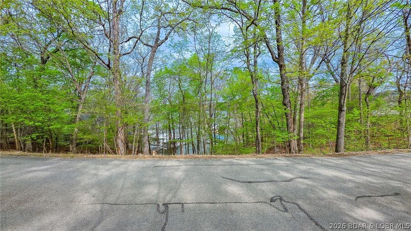 Discover the perfect setting for your custom home in the highly - photo 8