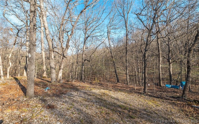 Discover your own slice of the Ozarks with this stunning 15-acre - photo 3