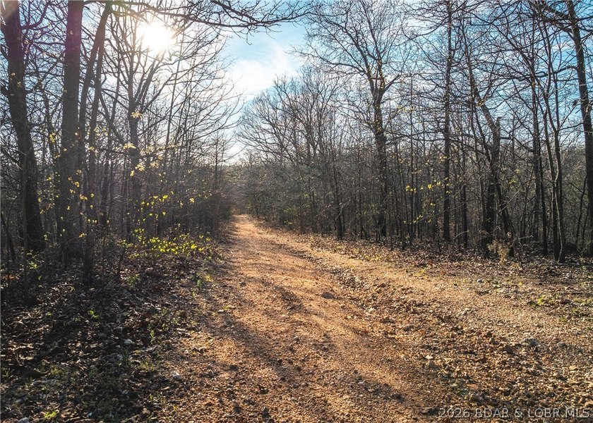 Discover your own slice of the Ozarks with this stunning 15-acre - photo 4