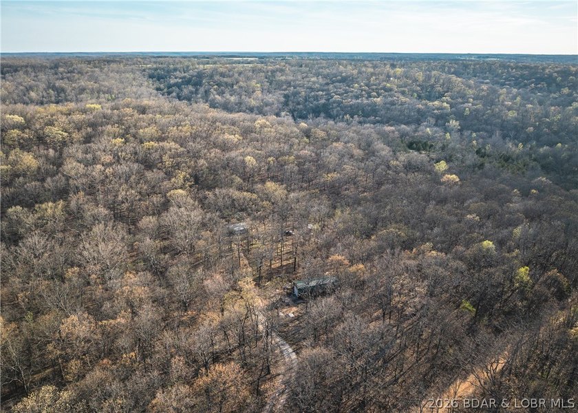 Discover your own slice of the Ozarks with this stunning 15-acre - photo 8