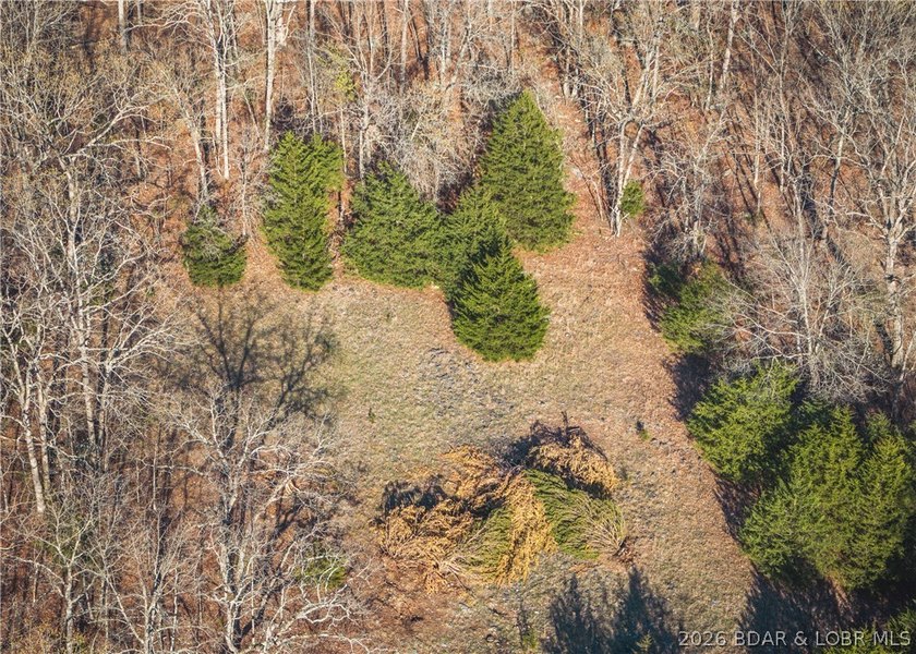 Discover your own slice of the Ozarks with this stunning 15-acre - photo 9
