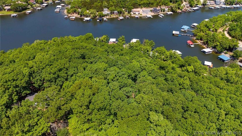 Don't miss this incredible opportunity to own 2.76 acres in - photo 6