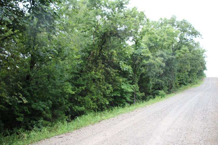 20.55 acres lying along a well- maintained county road with few - photo 11