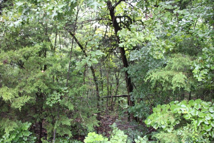 20.55 acres lying along a well- maintained county road with few - photo 13