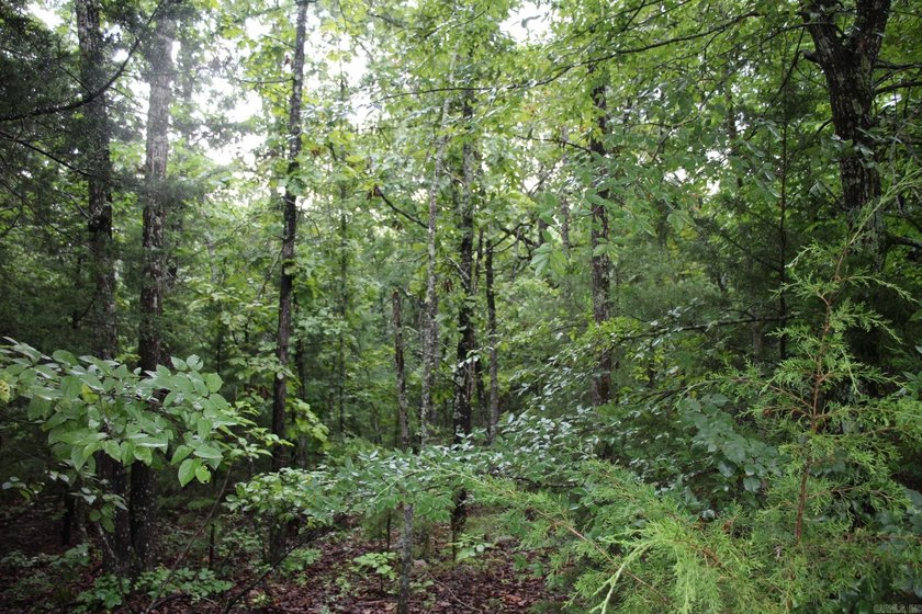 20.55 acres lying along a well- maintained county road with few - photo 14