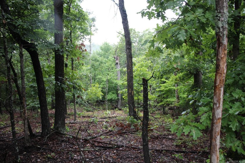 20.55 acres lying along a well- maintained county road with few - photo 22