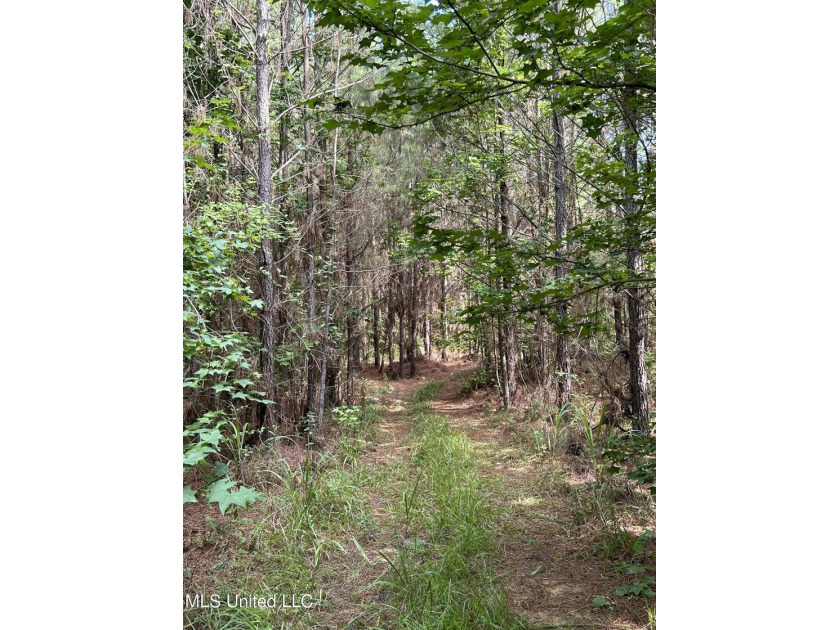Check out this fantastic property in Carroll County, MS! Located - photo 5
