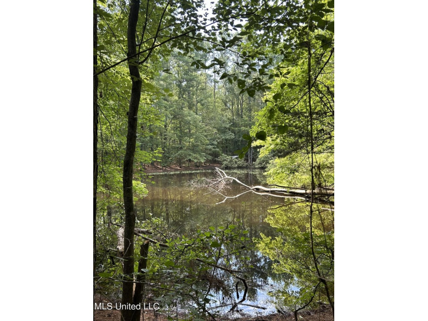 Check out this fantastic property in Carroll County, MS! Located - photo 8