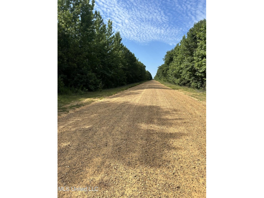 Check out this fantastic property in Carroll County, MS! Located - photo 9