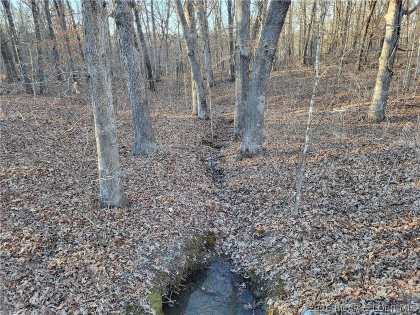 Enjoy the peace and privacy of this beautiful 12-acre wooded - photo 2