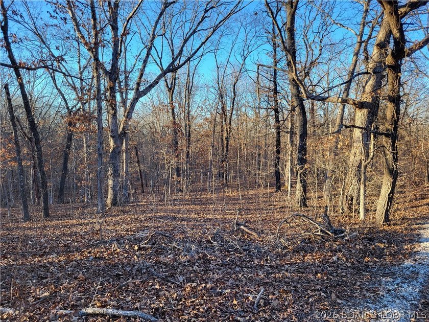 Enjoy the peace and privacy of this beautiful 12-acre wooded - photo 5
