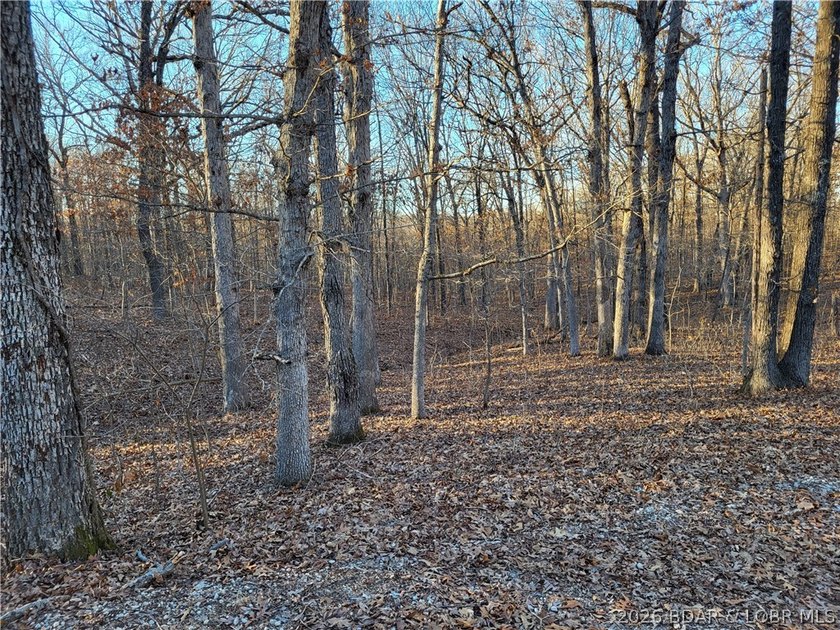 Enjoy the peace and privacy of this beautiful 12-acre wooded - photo 10