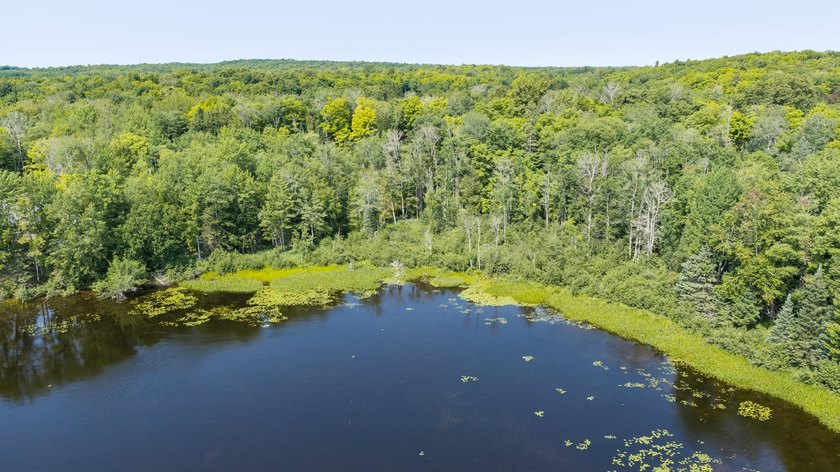 Exceptional opportunity to own 4.4 wooded acres with 326 feet of - photo 21