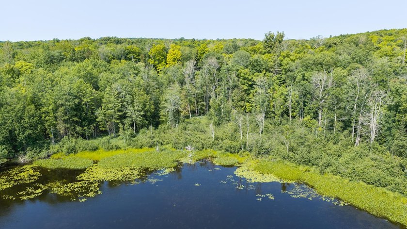 Exceptional opportunity to own 4.4 wooded acres with 326 feet of - photo 22