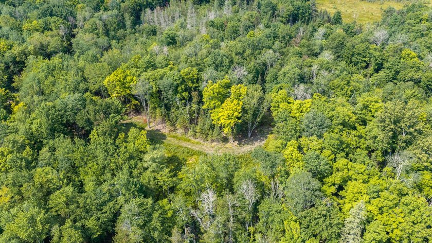Exceptional opportunity to own 4.4 wooded acres with 326 feet of - photo 24