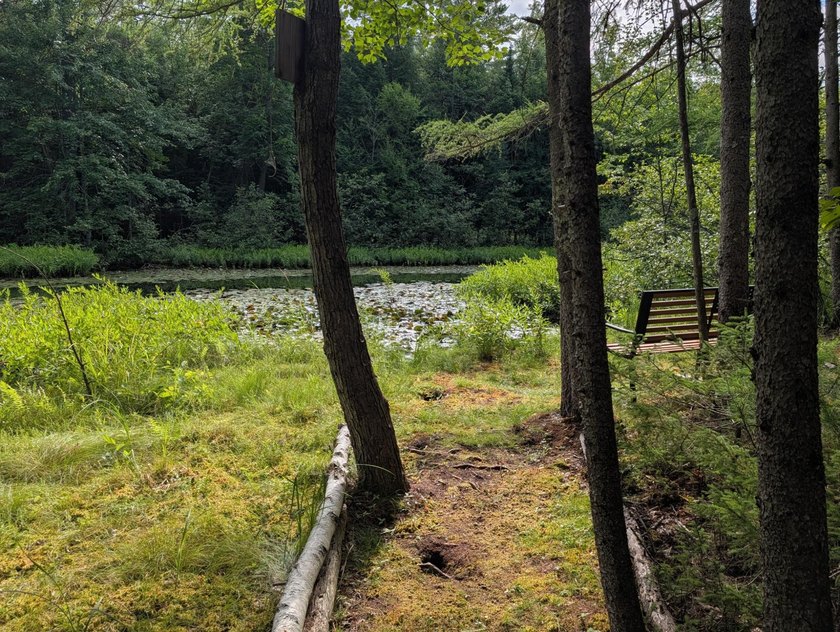 Welcome to the pristine shores of Birch Lake! Home and guest - photo 42