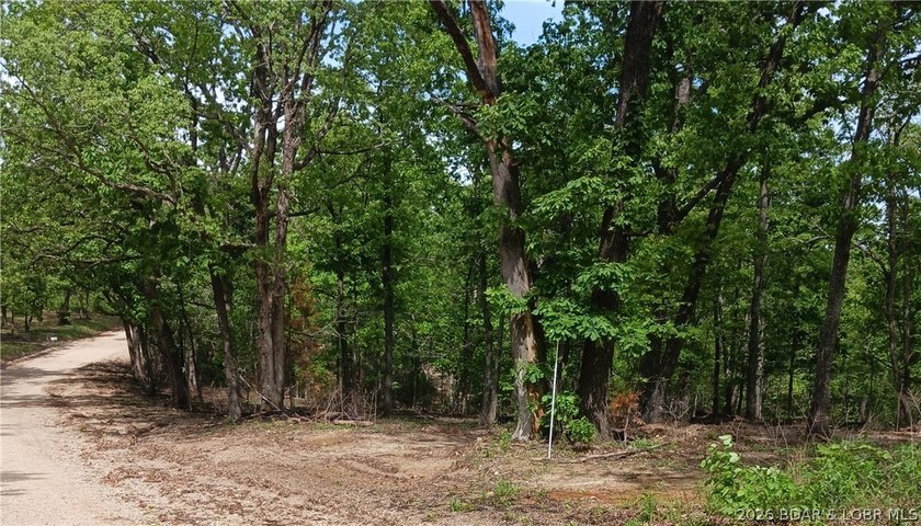 If you are looking for seclusion and serenity on an attractive 6 - photo 2