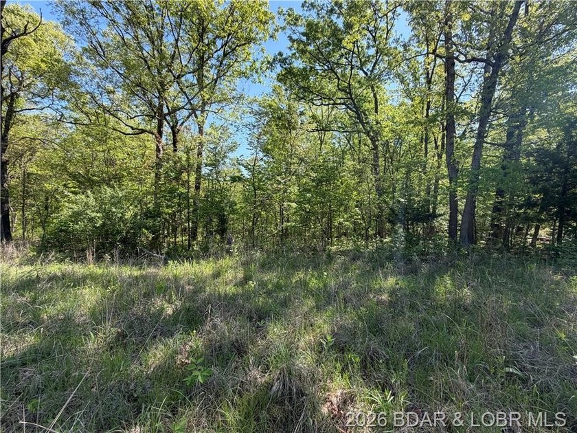 Come walk the property, explore the landscape, and see for - photo 3