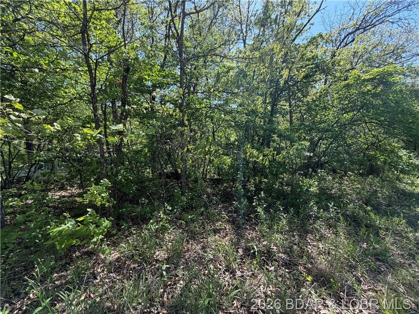 Come walk the property, explore the landscape, and see for - photo 4