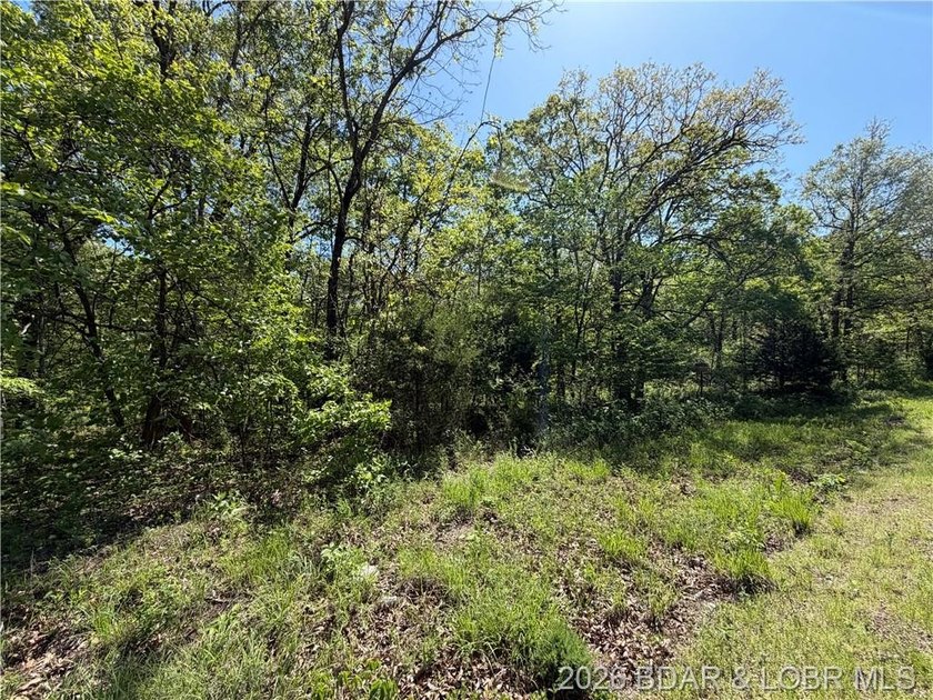 Come walk the property, explore the landscape, and see for - photo 5