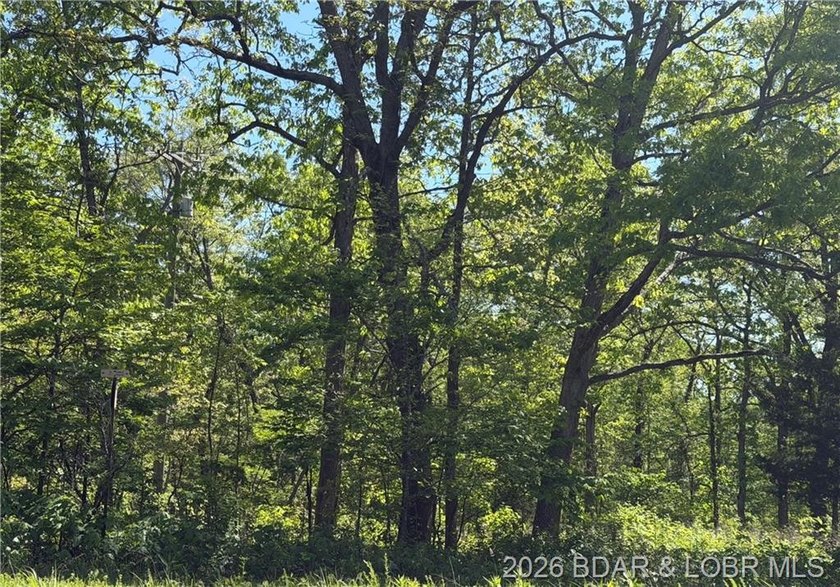 Come walk the property, explore the landscape, and see for - photo 6