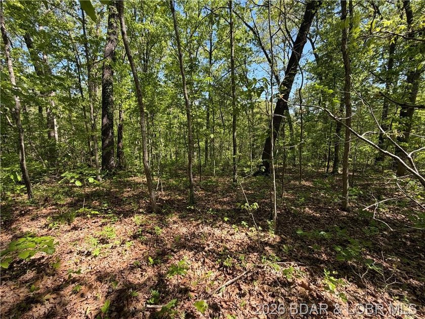 Come walk the property, explore the landscape, and see for - photo 7