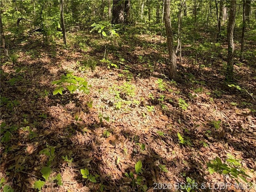 Come walk the property, explore the landscape, and see for - photo 8