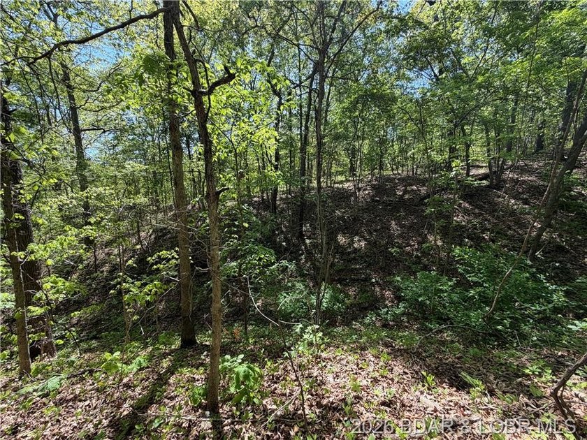 Come walk the property, explore the landscape, and see for - photo 10