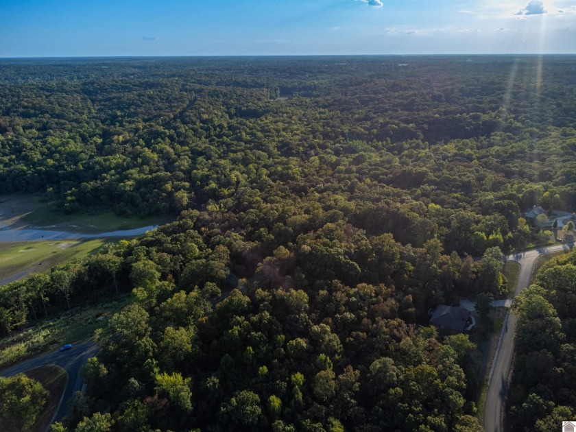 Build the home of your dreams in the beautiful subdivision of - photo 34