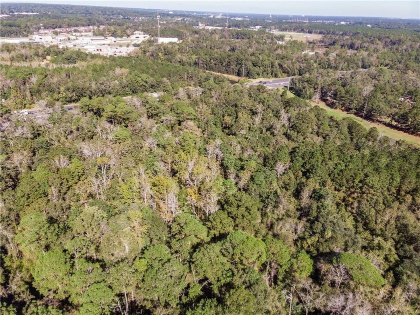 4.5 acres with So many possibilities just off Riviere Du Chien - photo 5