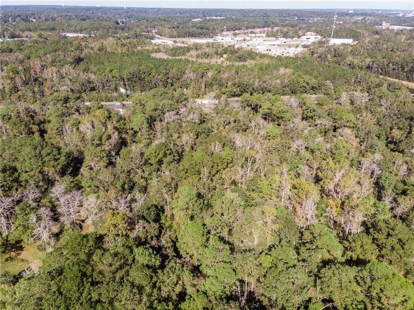 4.5 acres with So many possibilities just off Riviere Du Chien - photo 6