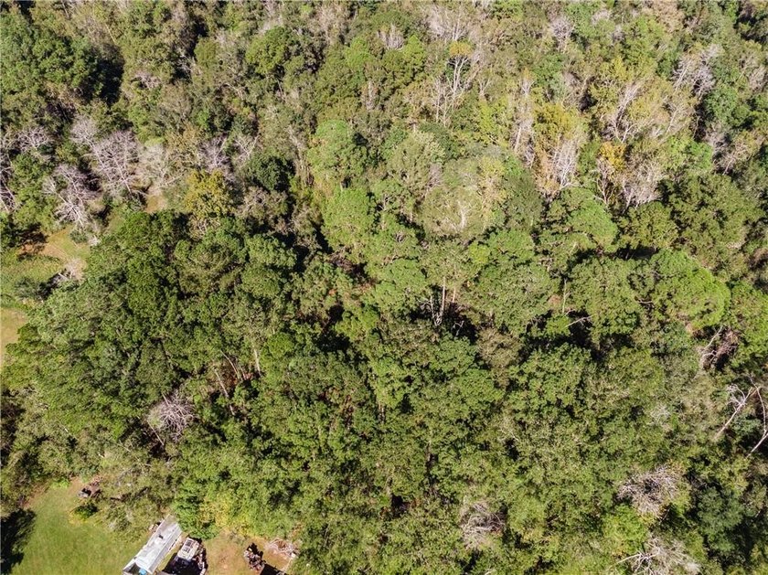 4.5 acres with So many possibilities just off Riviere Du Chien - photo 7